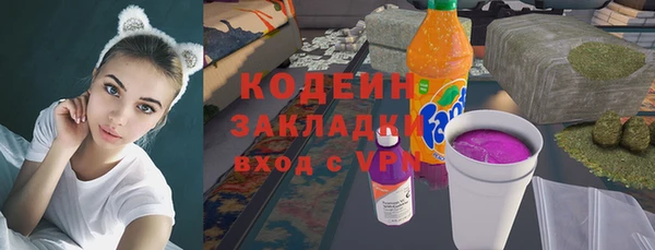 крисы Вяземский