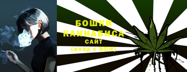 крисы Вяземский