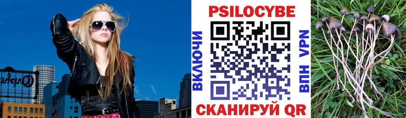 Псилоцибиновые грибы мицелий  сколько стоит  Пласт 
